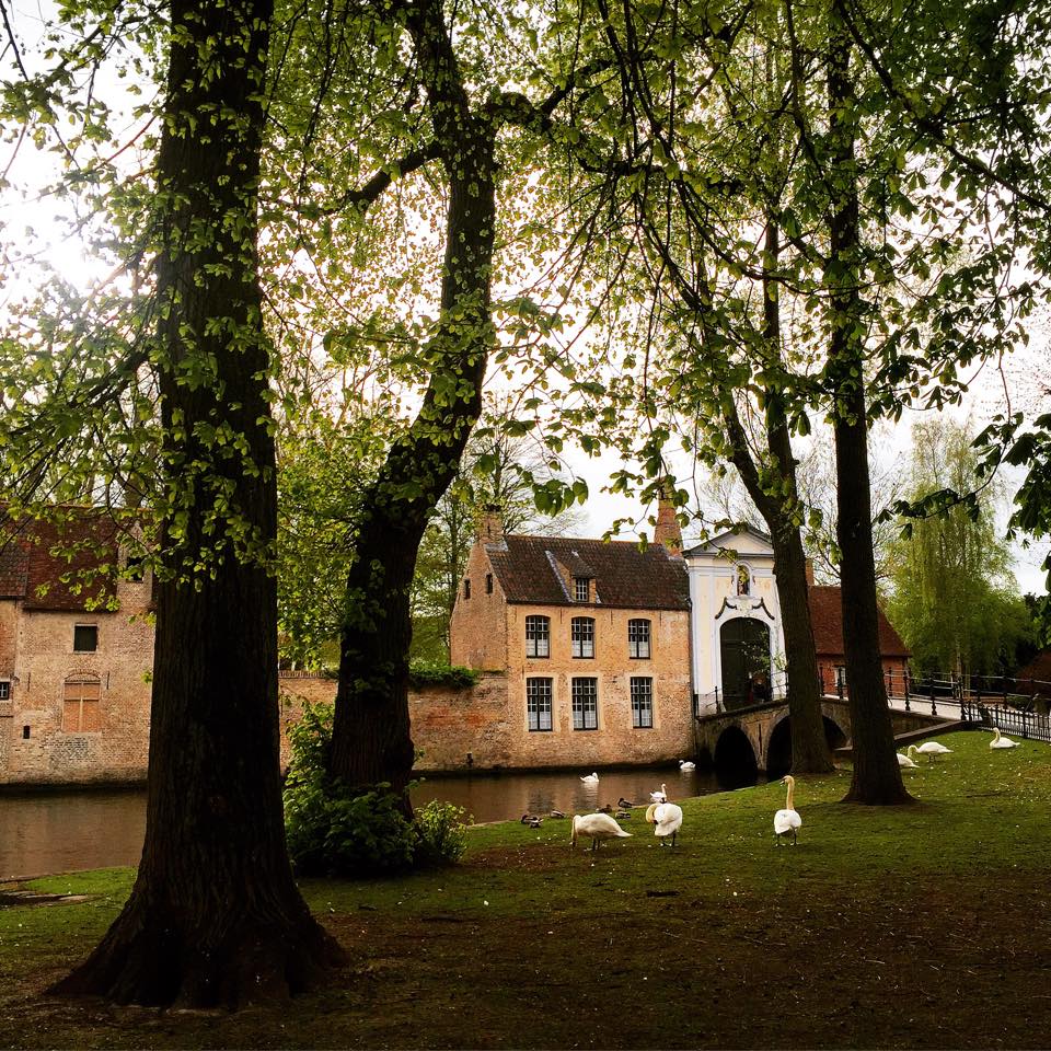 10421327_10205310904026181_8108635452589093025_n