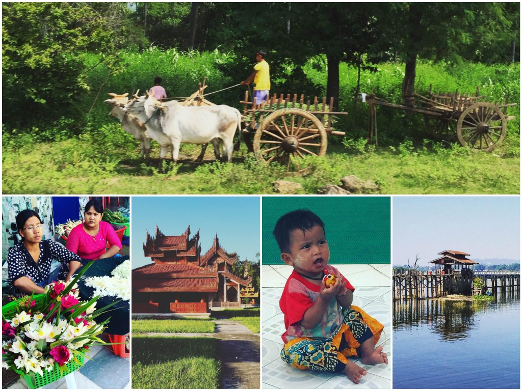 IMG_7290_Fotor_Collage