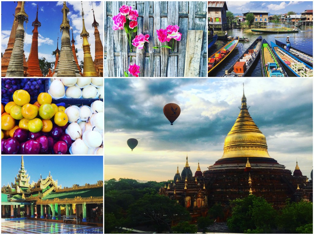 IMG_7563_Fotor_Collage