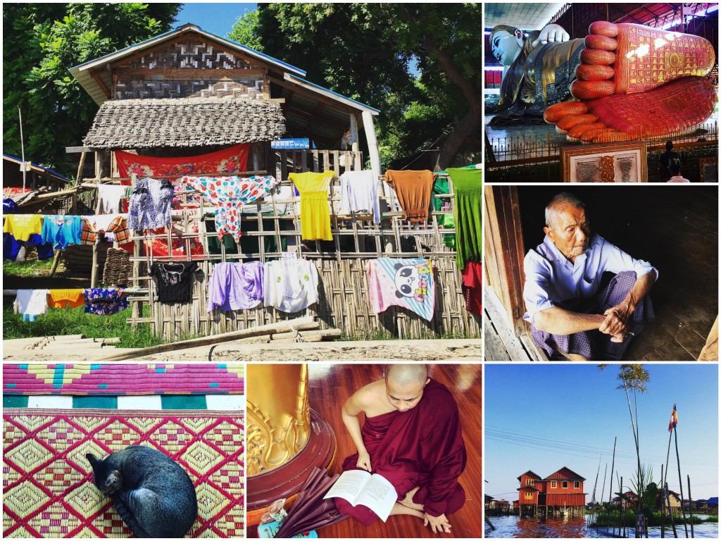 IMG_7797_Fotor_Collagen