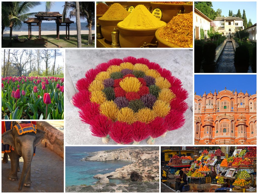 1_Fotor_Collage