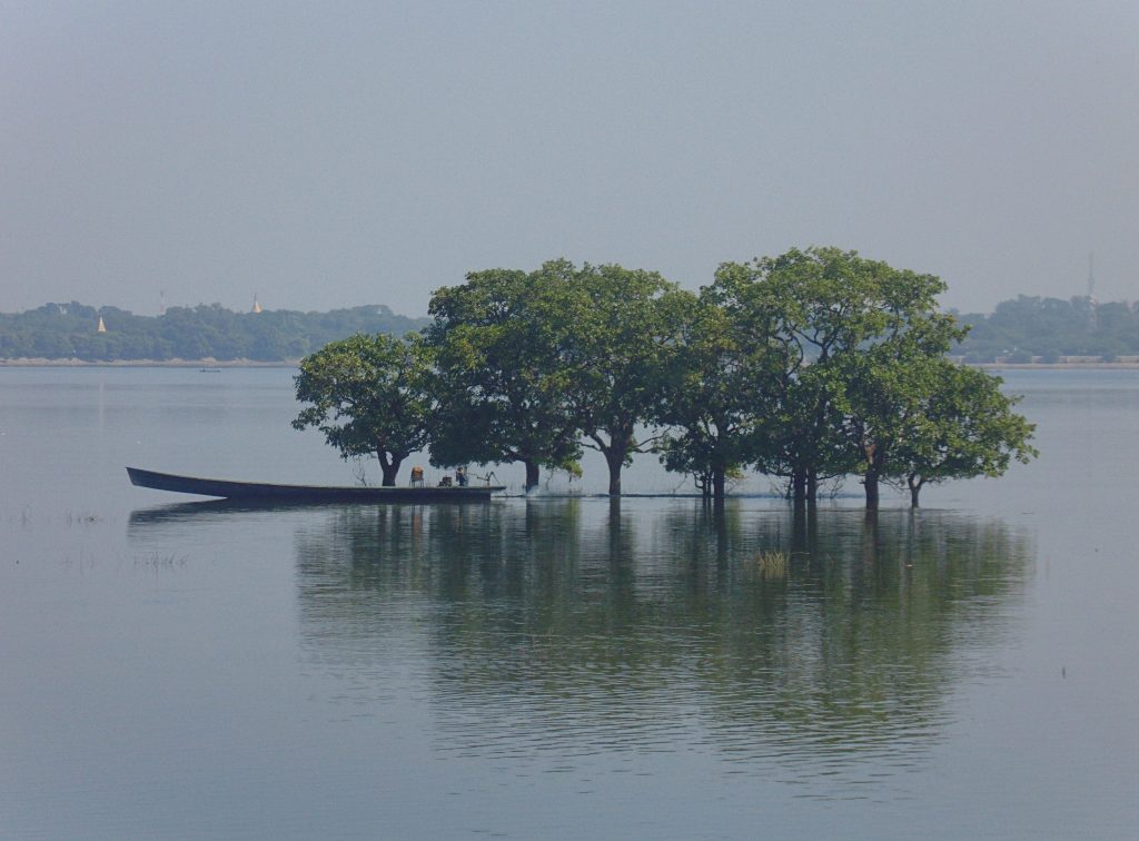 amarapura c
