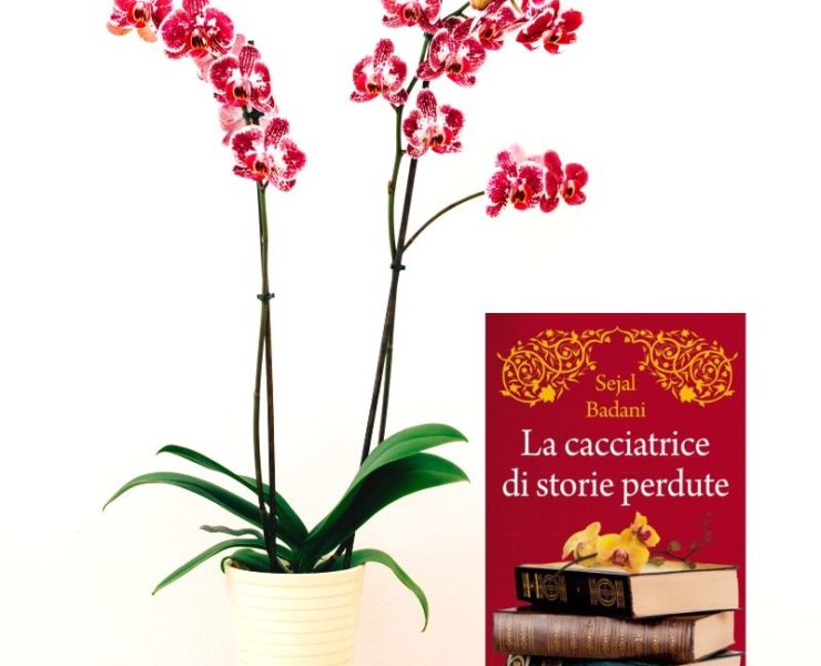 la cacciatrice di storie perdute